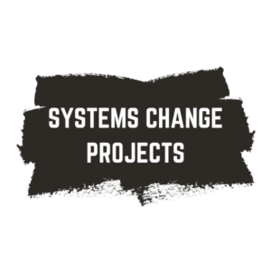 Systems Change Projects